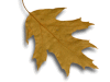 Captcha image 3825